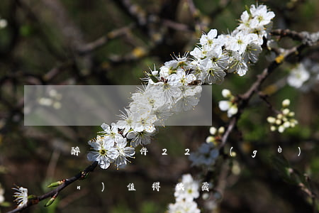 醉駕案件22個(gè)司法觀點(diǎn)，值得收藏！