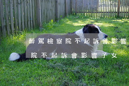 醉駕檢察院不起訴會影響子女政審嗎(醉駕法院不起訴會影響子女)