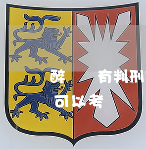 醉駕沒有判刑可以考司法嗎(醉駕判刑后多久可以考駕駛證)
