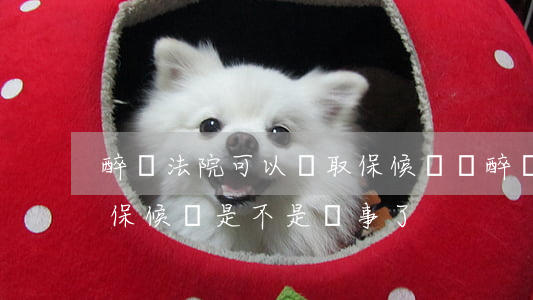 醉駕法院可以辦取保候審嗎(醉駕法院通知取保候審是不是沒事了)