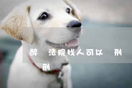 醉駕法院找人可以緩刑嗎(醉駕法院找人可以緩刑嗎?)
