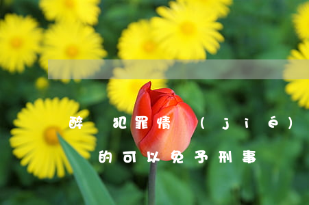 醉駕：犯罪情節(jié)輕微不需要判處刑罰的，可以免予刑事處罰