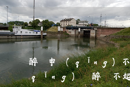 醉駕申請(qǐng)不起訴如何寫申請(qǐng)書，醉駕不起訴申請(qǐng)書怎么寫