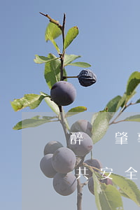 醉駕肇事構(gòu)成以危險方法危害公共安全罪的條件