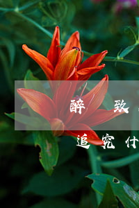 醉駕致人輕傷請律師合適嗎(醉駕造成輕傷會追究什么責任)