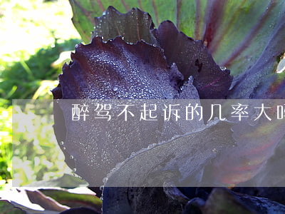 醉驾不起诉的几率大吗(醉驾多少可以不起诉)