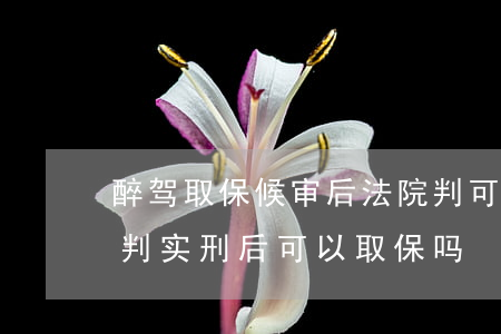 醉驾取保候审后法院判可以保释吗(醉驾法院判实刑后可以取保吗)