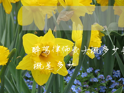 醉驾律师费大概多少钱(醉驾请律师的费用大概是多少)