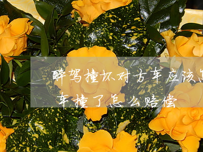 醉驾撞坏对方车应该怎么赔偿(对方醉驾把我车撞了怎么赔偿)