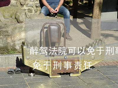 醉驾法院可以免于刑事处罚吗(醉驾法院可以免于刑事责任)