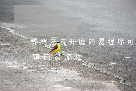 醉驾法院开庭简易程序可以不开庭吗(醉驾庭审简易流程)