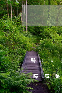 醫(yī)保局是好單位么(醫(yī)療保障局是好單位么)