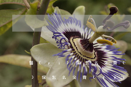 醫(yī)保怎么交費(fèi)(醫(yī)保怎么交費(fèi))