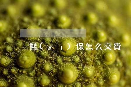 醫(yī)保怎么交費