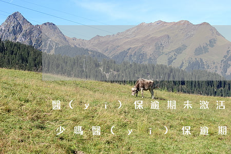 醫(yī)保逾期未激活余額會(huì)少嗎(醫(yī)保逾期未激活余額會(huì)少嗎怎么回事)