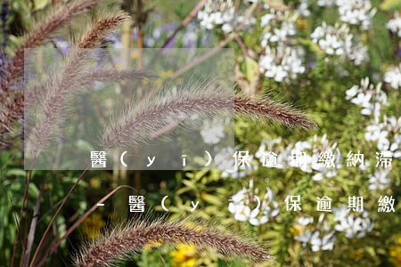 醫(yī)保逾期繳納滯納金可以直接用嗎-醫(yī)保逾期繳納滯納金可以直接用嗎