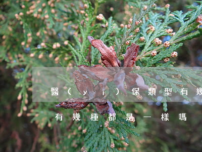 醫(yī)保類型有幾種(醫(yī)保類型有幾種都是一樣嗎?)