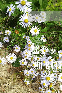 醫(yī)分期逾期怎么還款(醫(yī)分期倒閉了還款怎么還)
