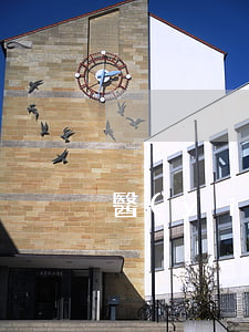 醫(yī)分期還款日顯示逾期