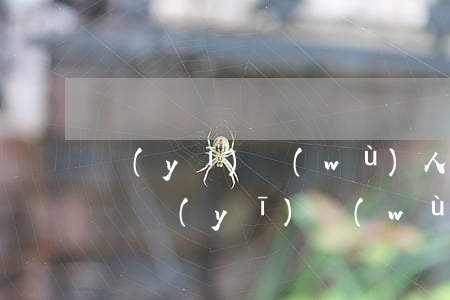 醫(yī)務(wù)人員信用卡逾期怎么辦 醫(yī)務(wù)人員信用卡逾期怎么辦理