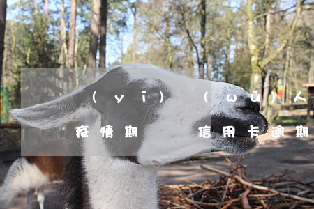 醫(yī)務(wù)人員疫情信用卡逾期(疫情期間對信用卡逾期的政策)