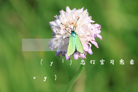 醫(yī)患打官司需要注意事項(xiàng)