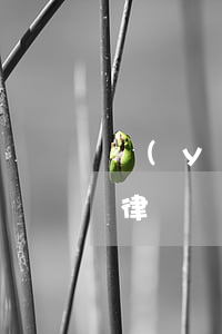 醫(yī)生和律師怎么相遇(醫(yī)生,律師)