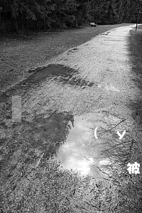 醫(yī)生私自接生致產(chǎn)婦子宮被切責(zé)任怎擔(dān)