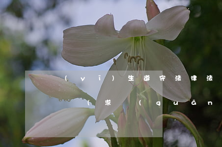 醫(yī)生遵守法律法規(guī)情況評語(求關(guān)于醫(yī)生權(quán)益法律保護(hù)情況資料)