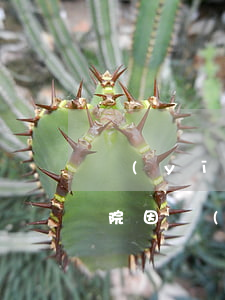 醫(yī)療事故一般賠償多少(醫(yī)院因醫(yī)療事故致人死亡應(yīng)賠償多少錢)