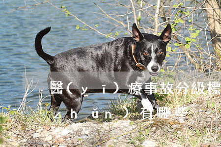 醫(yī)療事故分級標(biāo)準(zhǔn)有哪些
