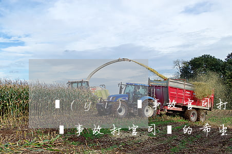 醫(yī)療事故官司打贏幾率(醫(yī)療事故打官司贏的希望大嗎)