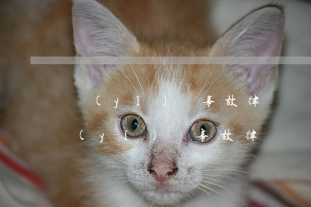 醫(yī)療事故律師(專業(yè)處理醫(yī)療事故律師)