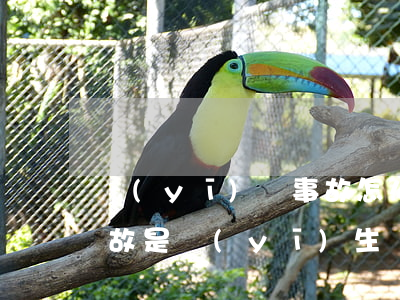 醫(yī)療事故怎么賠償(醫(yī)療事故是醫(yī)生賠償還是醫(yī)院賠償)