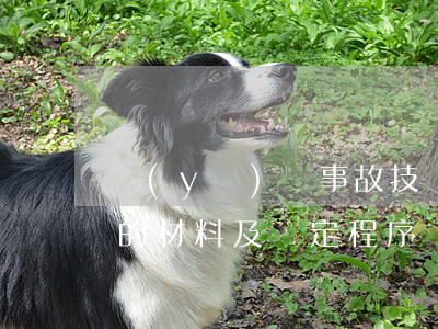 醫(yī)療事故技術(shù)鑒定需要的材料及鑒定程序