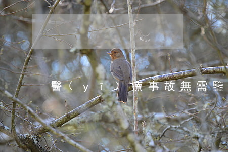 醫(yī)療事故無需鑒定具有破冰意義