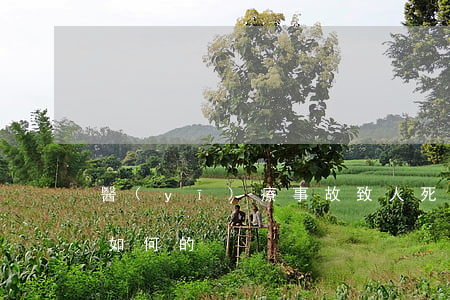醫(yī)療事故致人死亡責(zé)任是如何的