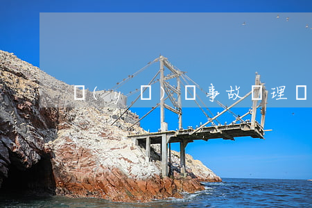 醫(yī)療事故處理條例