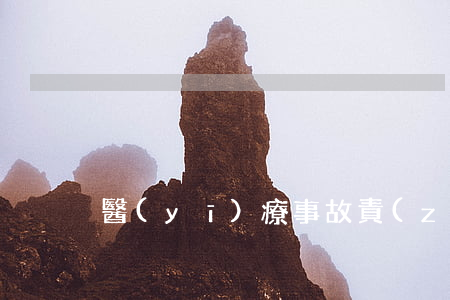 醫(yī)療事故責(zé)任