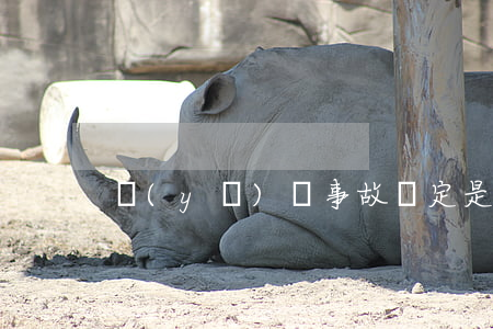 醫(yī)療事故鑒定是否是訴訟前置程序