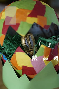 醫(yī)療事故鑒定申請(qǐng)期限如何規(guī)定