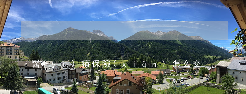醫(yī)療保險(xiǎn)怎么交