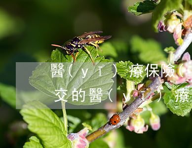 醫(yī)療保險(xiǎn)怎么用，公司交的醫(yī)療保險(xiǎn)怎么用