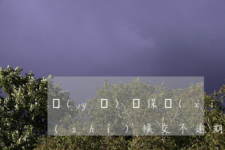 醫(yī)療保險(xiǎn)最晚什么時(shí)候交不逾期-醫(yī)療保險(xiǎn)最晚什么時(shí)候交不逾期的