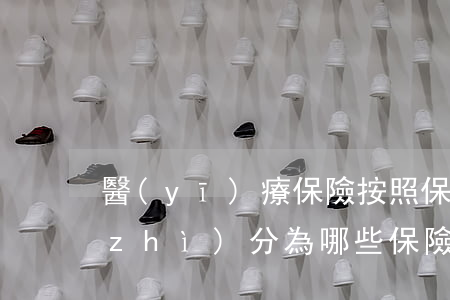 醫(yī)療保險按照保險金的給付性質(zhì)分為哪些保險