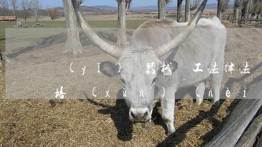 醫(yī)療器械員工法律法規(guī)培訓(xùn)內(nèi)容(如何制定醫(yī)療器械管理法律法規(guī)的培訓(xùn)計(jì)劃)