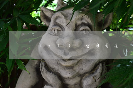 醫(yī)療官司司法鑒定程序是什么