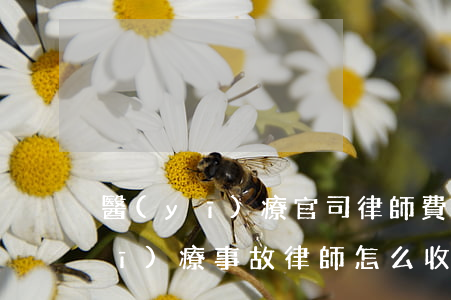 醫(yī)療官司律師費用收取標準(醫(yī)療事故律師怎么收費)