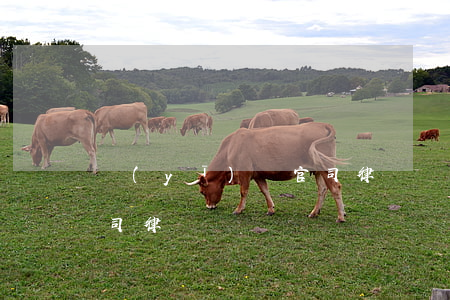 醫(yī)療官司律師(長沙醫(yī)療官司律師)