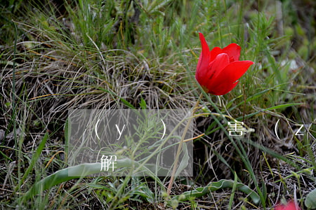 醫(yī)療損害責(zé)任糾紛司法解釋解讀